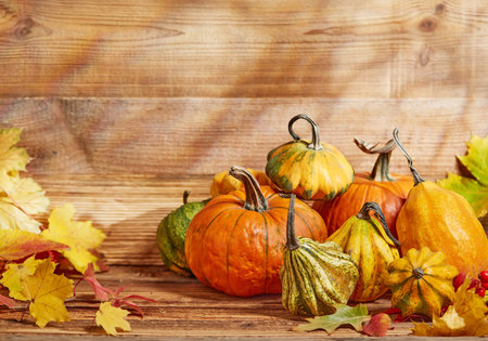 Autumn holiday pumpkin arrangement on woodの写真素材