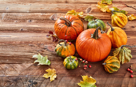Autumn colored pumpkins on wooden backgroundの写真素材