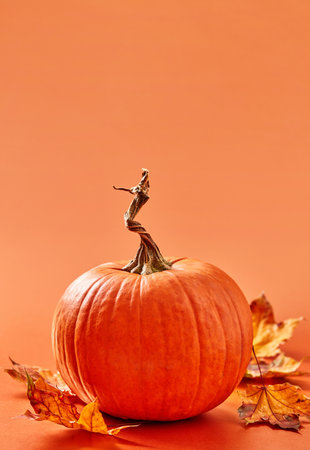 Orange pumpkin and leaves on orange backgroundの写真素材