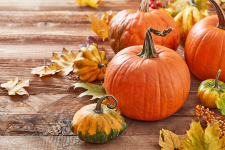 Harvest pumpkins on wooden backgroundの写真素材