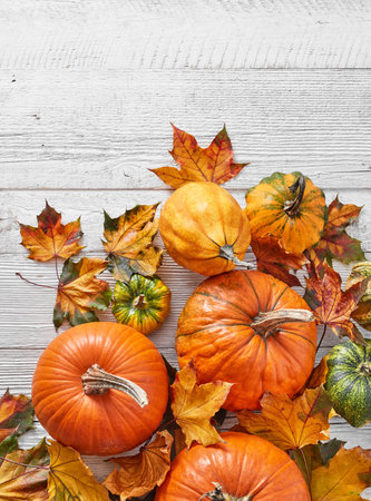 Autumn concept on white wooden floorの写真素材