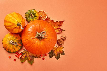 Autumn arrangement on orange backgroundの写真素材
