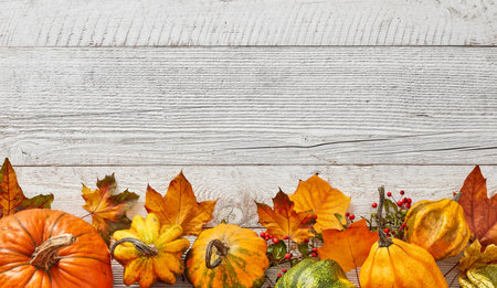 Thanksgiving pumpkins and leaves frame arrangementの写真素材