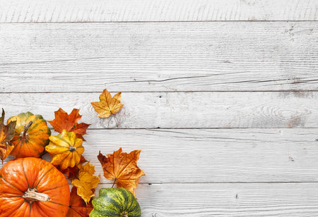 Multi-colored pumpkins and maple leavesの写真素材