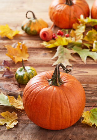 Orange pumpkin on wooden backgroundの写真素材