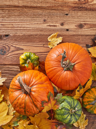 Pumpkins and leaves on wood from aboveの写真素材