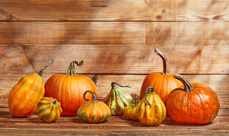 Thanksgiving pumpkins on wooden backgroundの写真素材