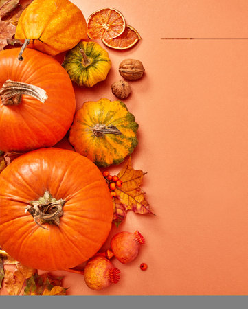 Multi-colored fall pumpkins on orange backgroundの写真素材
