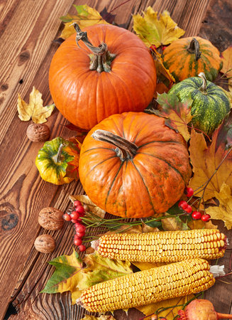 Autumn Thanksgiving Arrangement from aboveの写真素材