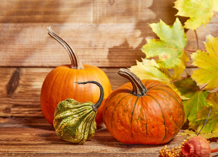 Pumpkins and maple leaves on woodの写真素材