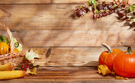 Autumn arrangement with copy space on woodの写真素材