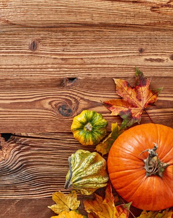 Autumn concept on wooden backgroundの写真素材