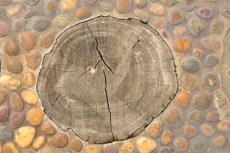 old wooden sink in small stone backgrond