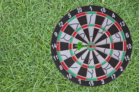 Dart Board on green grass backgroundの写真素材