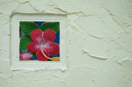 Red color Hibiscus and hybrid flowerの写真素材