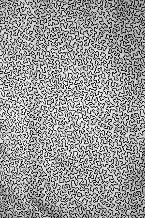 Fabric pattern in black and whiteの写真素材