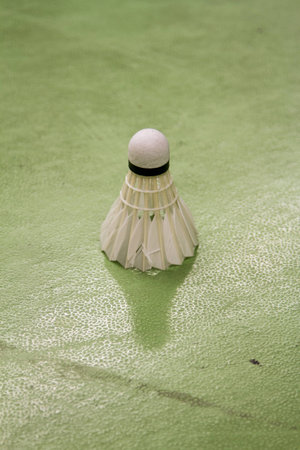 Shuttlecock on the laminated floorの写真素材
