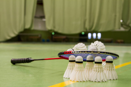 Badminton shuttlecocks and a racquetの写真素材