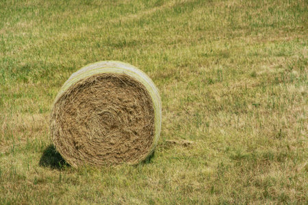 Grass roll on the fieldの写真素材