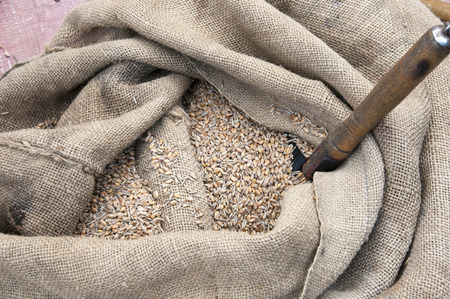 Grain in the bag,の写真素材