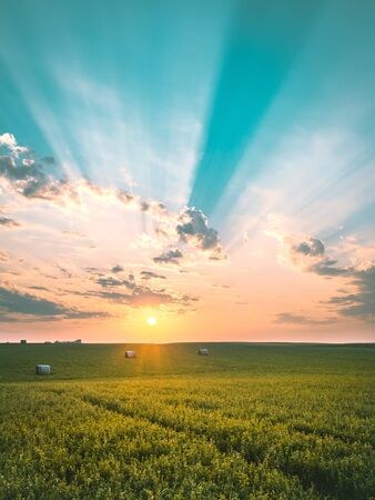 Sunset in minnesota over the field with sunraysの写真素材