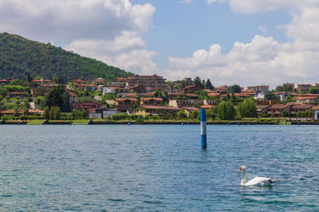 View of Iseo Lake, Italy. A swan lays in the foreground.の写真素材