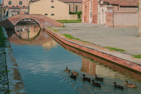 View of Comacchio canal and colrfoul houses with ducks of foregroundの写真素材
