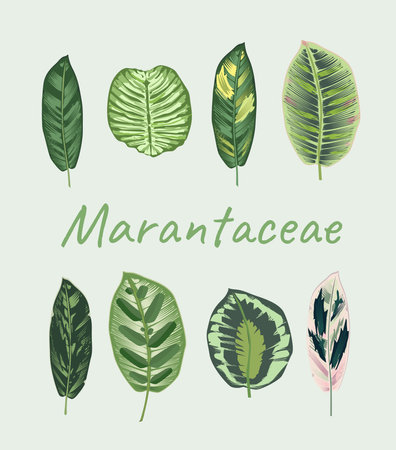 Back to school. Students holding school stationery. Sketchy background with hand drawn school supplies. Template for design. Funny cartoon characters.のイラスト素材