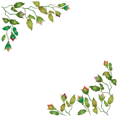 rose drawing Vector illustration.のイラスト素材