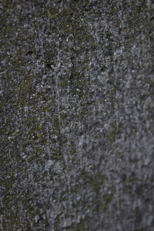 Pebble ground in detailの写真素材