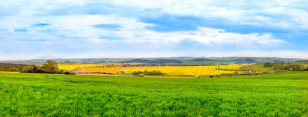 Panorama view of green fields and a Rape plantationの写真素材