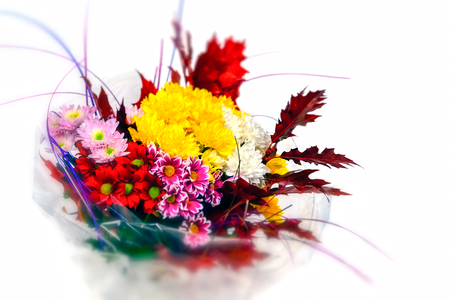 bouquet of blossoming red rosesの写真素材