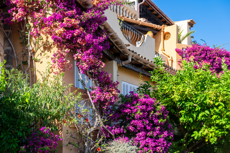 Mediterranean architecture at the idyllic small town of Cala Fornellsの写真素材
