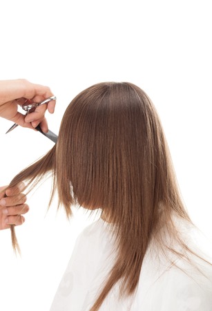 Professional hairdresser with long hair model, isolated on whiteの写真素材