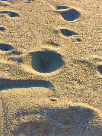 Sand wave dune under the setting sun.
