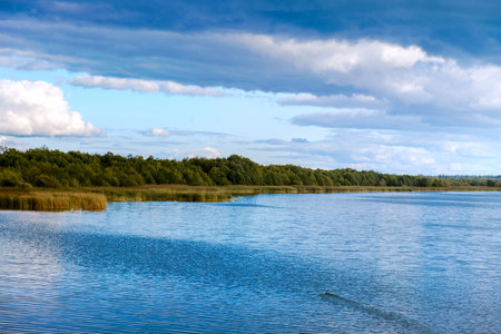Images of Steinhuder Meer Lake showcasing its serene waters, lush greenery, and cloudy skies. The photos capture the natural beauty and tranquility of the lake, highlighting its calmness and vibrant reflections of the surrounding landscape.の写真素材