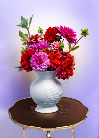 Beautiful bouquet of red and pink dahlias arranged in a white vase with floral relief. Studio shot on different backgrounds.の写真素材
