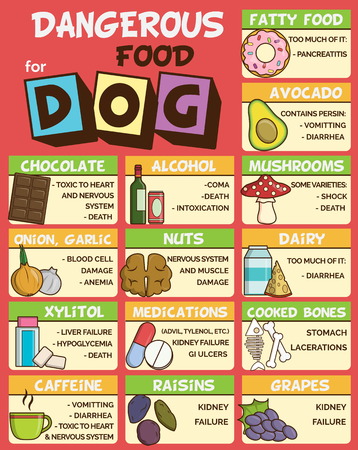 Infographic poster about food and snacks that are dangerous for your dog and may cause intoxication. A set of icons including avocado, mushroom, dairy, coffee, etcのイラスト素材