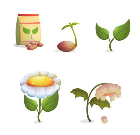 A collection of objects showing flower growing stages, seeds and a paper bag, growing sprout, flowering and fading withering plant. Game and app ui icons.のイラスト素材