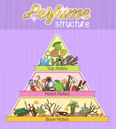 Aromatic structure notes guide for perfume, scent and aroma info graphic poster.のイラスト素材