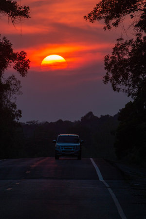 The early morning sun is shining beautifully.の写真素材