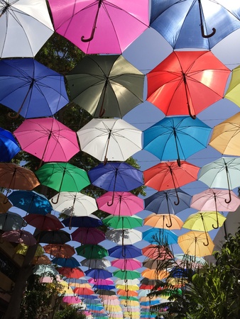 Colored umbrellasの素材