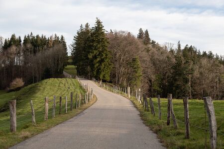 concrete road in the morning or evening twilight, leading into a forest, with wooden delineators on the right and left side of the road, bordering a green meadowの写真素材