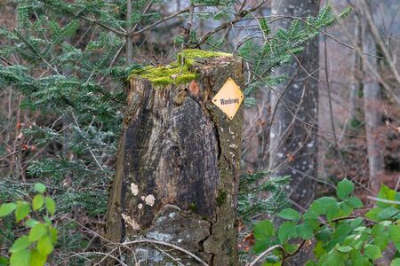 hiking trail german sign, german text translation: hiking trailの写真素材