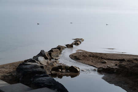 a brown small island on the sea with stones and water in between small waterfowl swimming far away in the background at dusk in good weather without peopleの写真素材