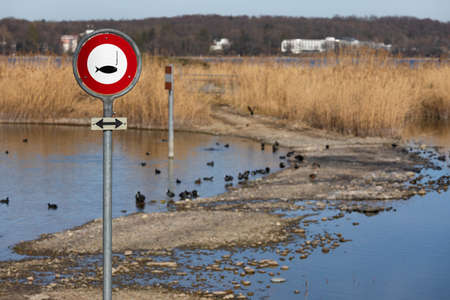 red and white fishing prohibited sign, in the background you can see many water birds in the water, yellow reed, by day without peopleの写真素材