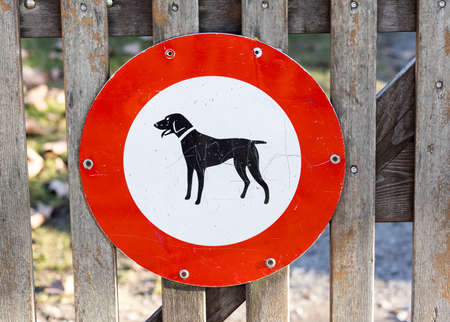 red white no dogs sign, on a light brown picket fence, no access for dogsの写真素材