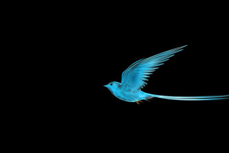 Elegant Blue Bird in Flight Against a Black Backgroundの素材