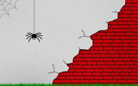 Spider at broken wallの写真素材