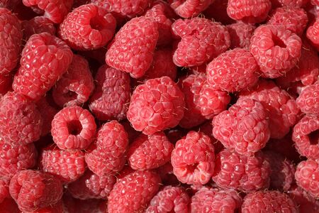 Red ripe raspberry background closeup